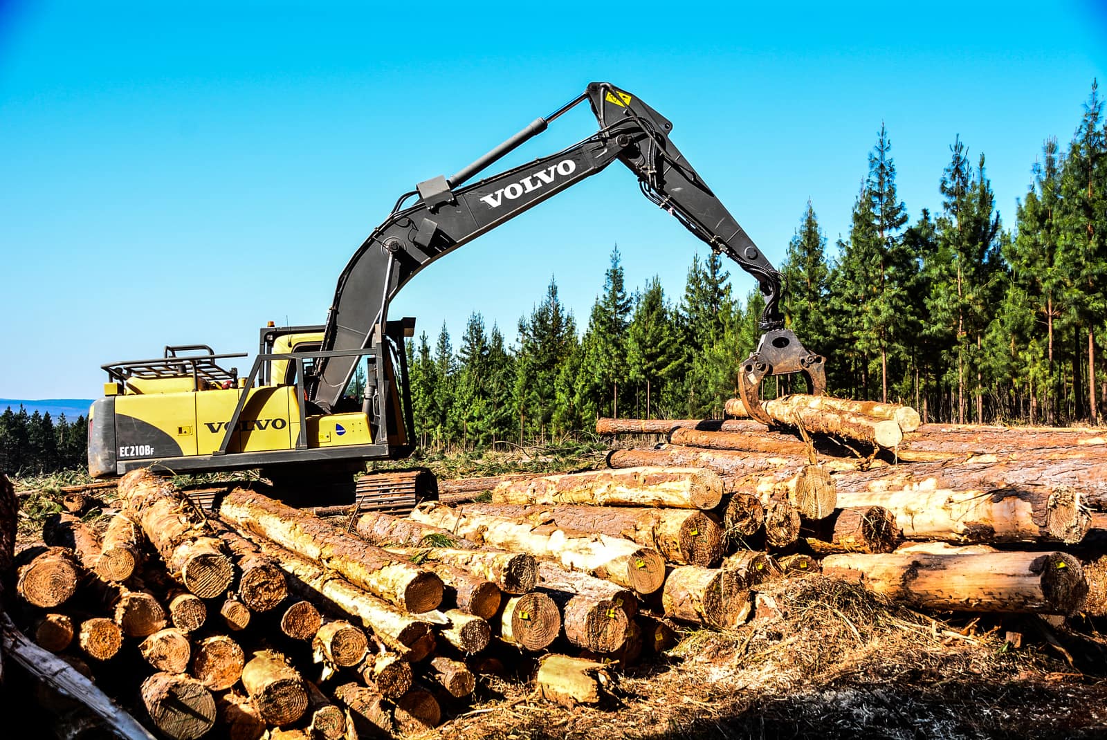 SAFCOL Forestry - excavator-loading.jpg