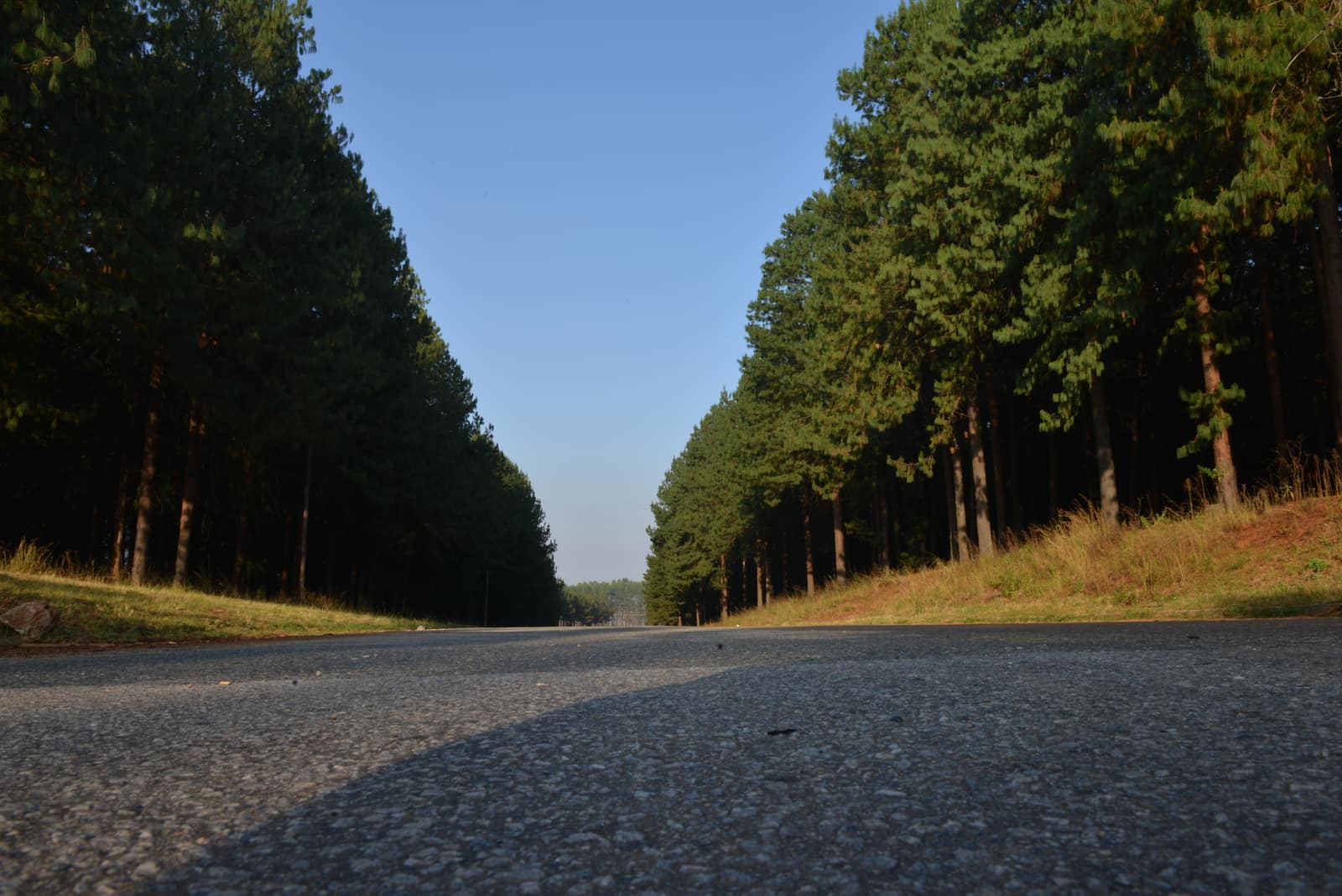Uitsoek trail