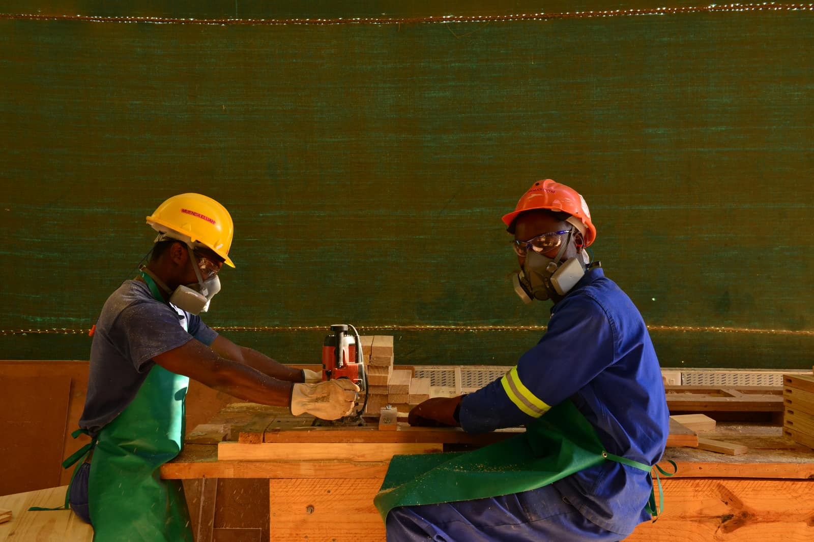 SAFCOL Forestry - workers-cutting.jpg