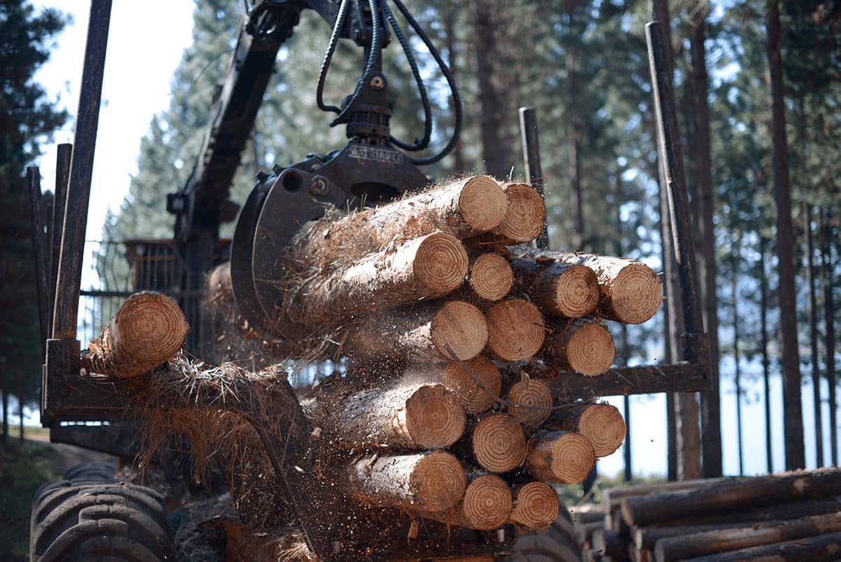 Crane loading round logs