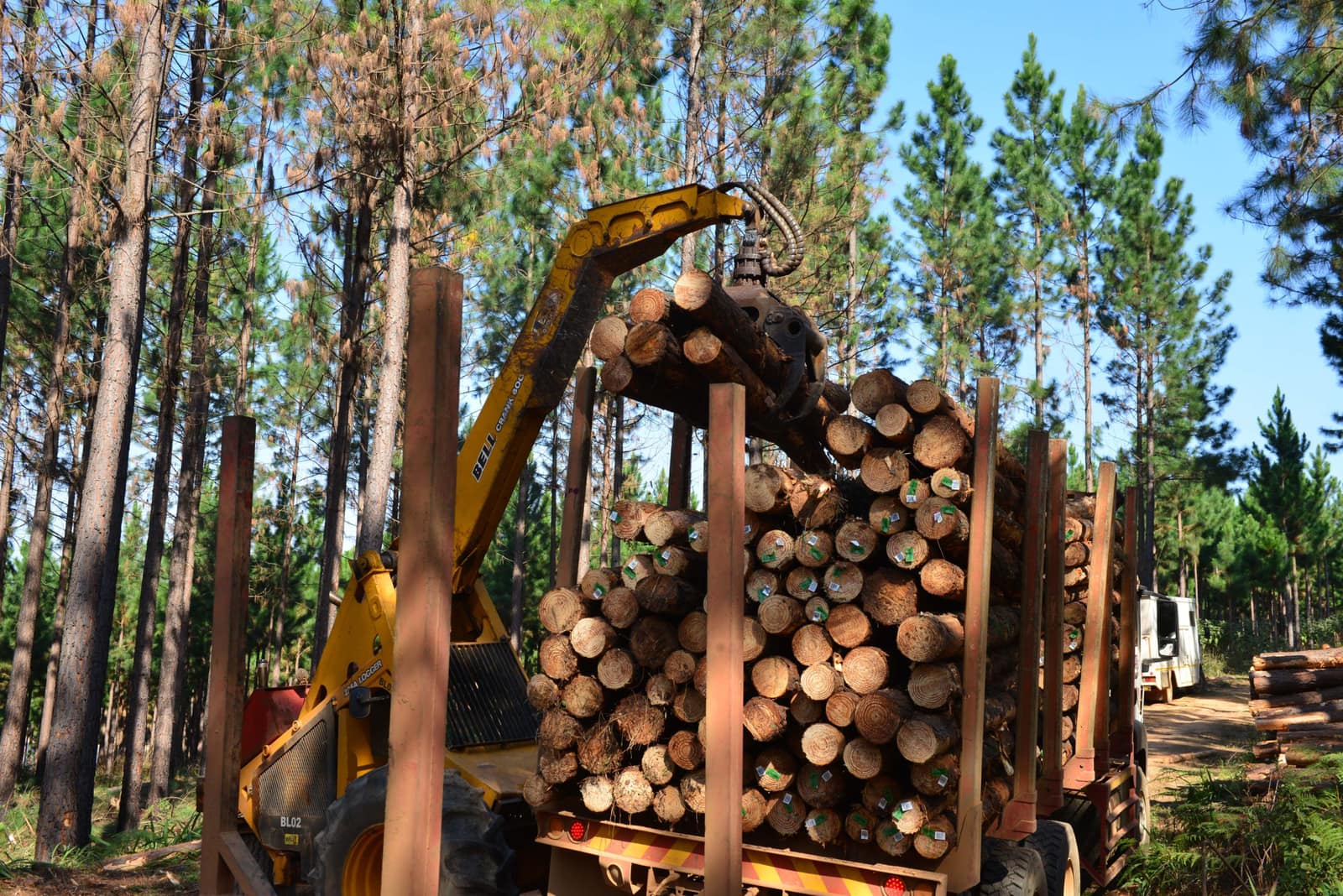 Round Logs