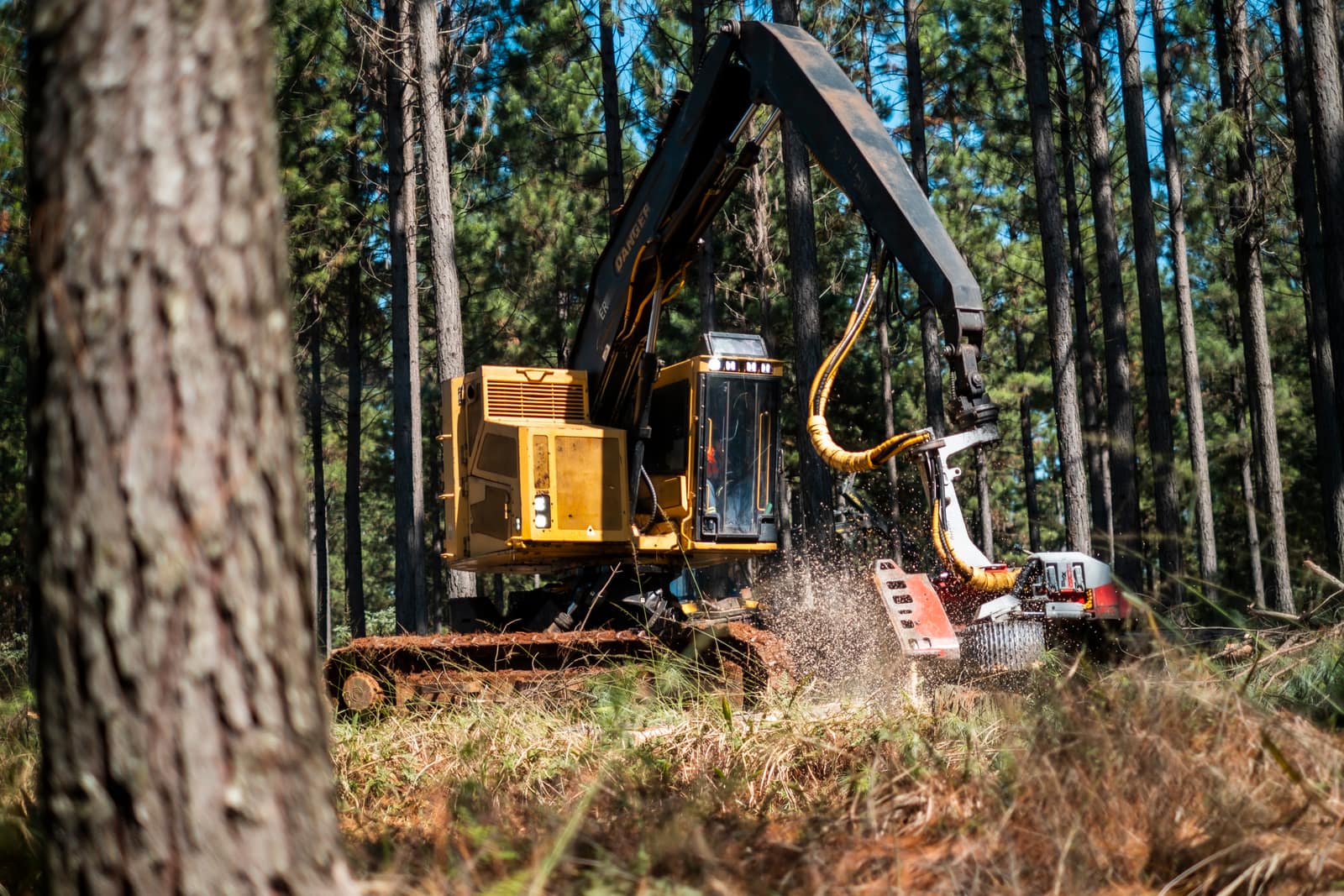 SAFCOL Machines - machine-forest.jpg